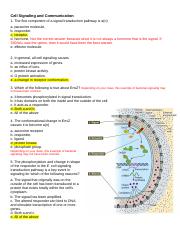 AP Biology Cell Signaling and Communication Multiple Choice Practice