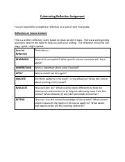 2P Self-Reflection Assignment (1).pdf