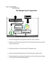 Nitrogen Cycle in Aquariums.docx