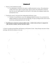 Chapter 20 Study Guide.docx