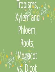 Tropisms, Stems, Roots, Mono and Dicot, Leaves.pptx