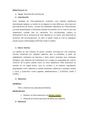 I4_2_TINCION_DE_CAPSULA.docx