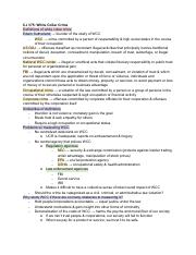 CJ 375 definitions.pdf