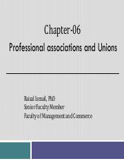 Chapter 06 Professional Assosiation .pdf