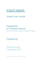 Court Report New Sample.docx