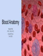 Blood Anatomy PPT A.Allie.pdf