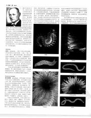 中国大百科全书05_591.pdf