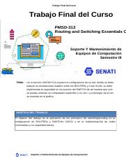 PMSD-313_TRABAJOFINAL.docx