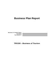 2 Business Plan Report(3).docx