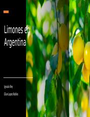 PPT Limones en Argentina.pptx