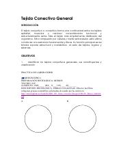 Laboratorio Histología Tejido Conjuntivo General.pdf