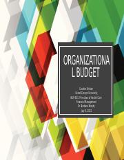NUR 621. Organizational Budget Presentation.pptx
