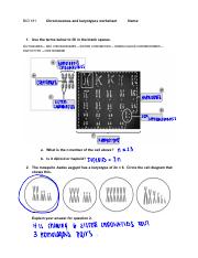 BIO 181 Lecture group WORK 12 (1).pdf