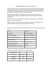 Estado de Resultados presupuestado.pdf
