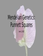 Lecture 18 - Intro to Mendelian Genetics Punnett Squares copy.pptx