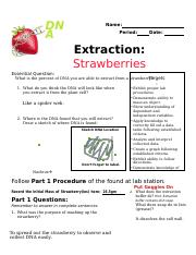 dna_extraction_of_strawberries_lab_sheets.docx